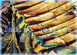 Vitamin B9 - Folic Acid Crystals - Assembled via Scalar Energy